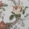Andrea Rossi Cavolli - 54418-10
