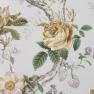 Andrea Rossi Cavolli - 54418-10
