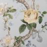 Andrea Rossi Cavolli - 54417-6