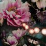 Arthouse  - 293006