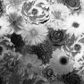 Arthouse  - 294700