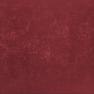 Bernardo Bartalucci Bigi+ - 5089-1