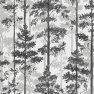 ECO Graphic World - 8819