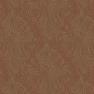 Loymina Clair - CLR6 002/1