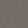 Loymina Shade vol. II - SDR4 012/1